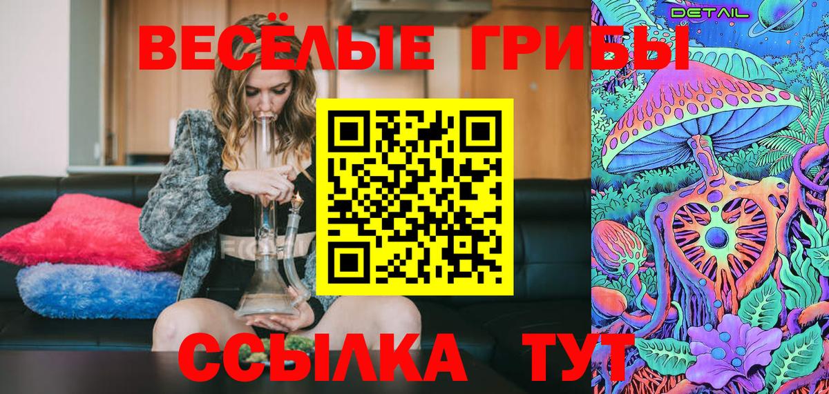 Псилоцибиновые грибы Psilocybine cubensis  Вход с VPN  как найти наркотики  Троицк  Псилоцибиновые грибы прущие грибы 